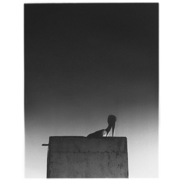 Ø - Sysivalo | Sähkö Recordings (SÄHKÖ-037)