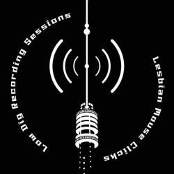 Lesbian Mouseclicks - Low Dig Recording Sessions | Wharf Records (WR-003)