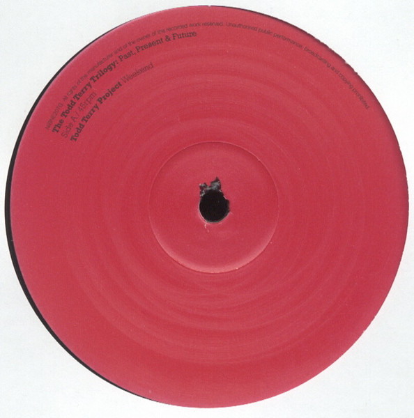 The Todd Terry Project / Todd Terry - The Todd Terry Trilogy: Past, Present & Future | Ink Records (NIBNE20TG) - 2