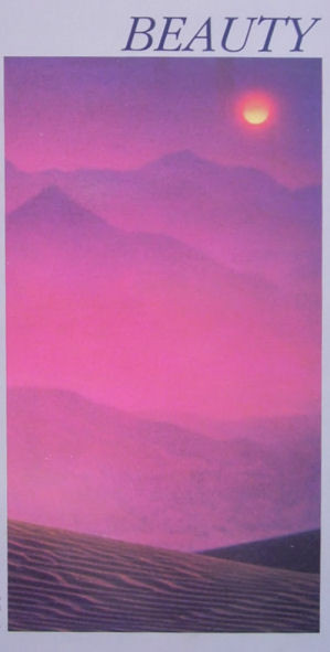 Erik Berglund - Beauty | Sona Gaia Productions (LP 139) - 4