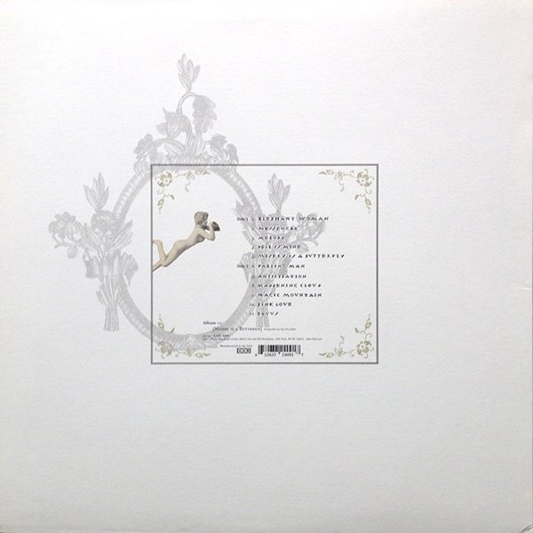 Blonde Redhead - Misery Is A Butterfly | 4AD (CAD 2409) - 2