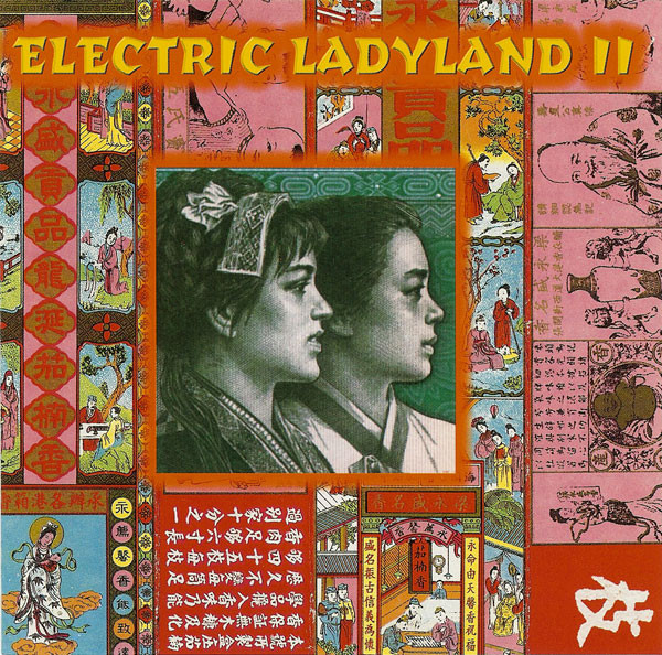 Various - Electric Ladyland II | Mille Plateaux (MP 24)