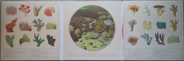 Various - Special Species' Anthozoa Anthology | Special Species Records (SSR 030) - 4