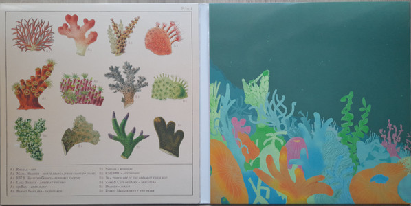 Various - Special Species' Anthozoa Anthology | Special Species Records (SSR 030) - 3