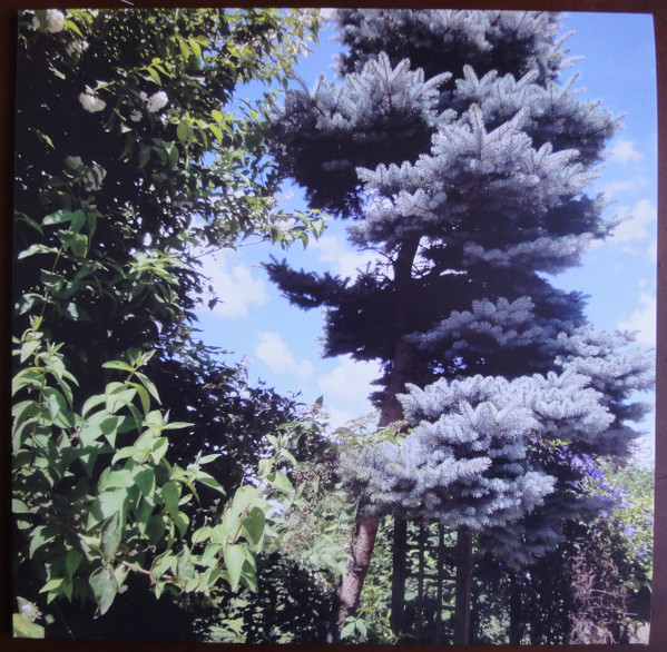 Professor Inc. - Live Twenty Years Ago | Not On Label (none)