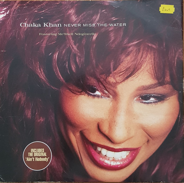 Chaka Khan Featuring Me'Shell NdegéOcello - Never Miss The Water | Reprise Records (WO393T) - main