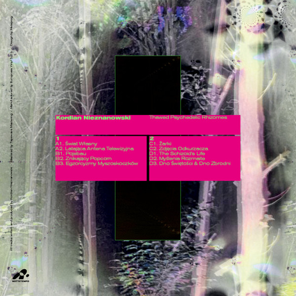 Kordian Nieznanowski - Thawed Psychedelic Rhizomes | Nottetempo (NTT007) - 2