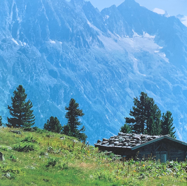 Goldfrapp - Felt Mountain | Mute (STUMM188XLP) - 2