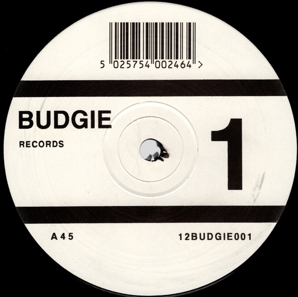 Inner System - Mr Alien | Budgie Records London (12BUDGIE001)