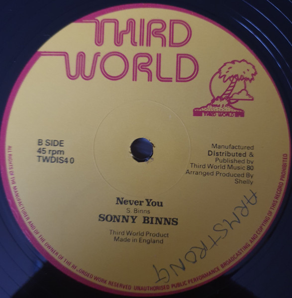 Samantha Rose / Sonny Binns - Together We're Beautiful / Never You | Third World (TWDIS40) - 2 Samantha Rose / Sonny Binns - Together We're Beautiful / Never You | Third World (TWDIS40) - 2