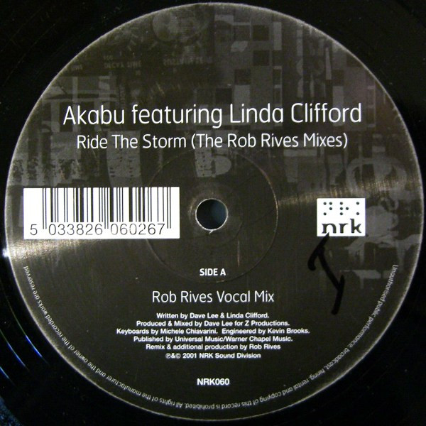 Ride The Storm (The Rob Rives Mixes)