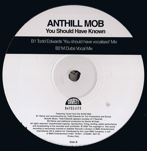 Anthill Mob - You Should Have Known | Satellite (SAT 003)