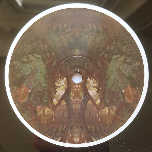 Birds Ov Paradise - Bayou | Hypnus Records (HYPNUS020A) - 2