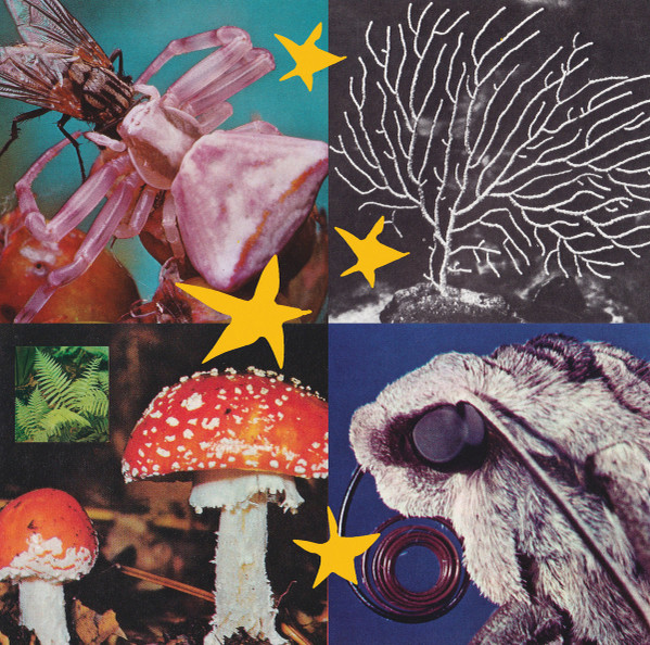 Various - All Things Considered 02 | 823 (823R006)