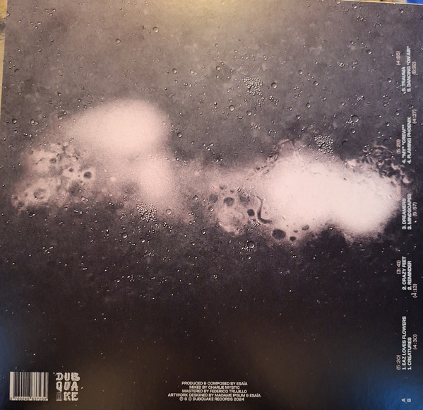 Esaïa - Mindscapes | Dubquake Records (DBQKLP13) - 2