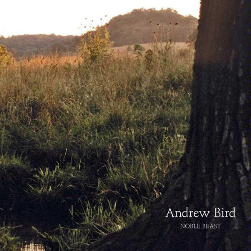 Andrew Bird - Noble Beast | Fat Possum Records (FP1124-2) - main