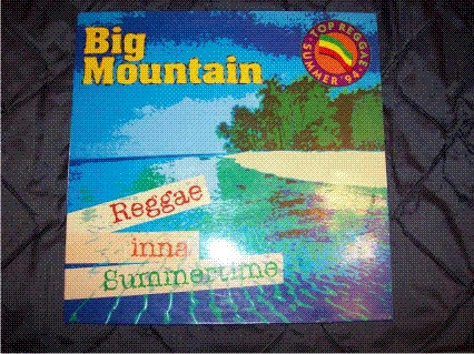 Big Mountain - Reggae Inna Summertime | Quality Madrid (QR 122)