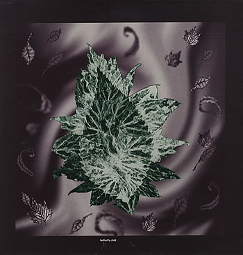 Butterfly Child - Eucalyptus | H.ark! (1244-4) Butterfly Child - Eucalyptus | H.ark! (1244-4)