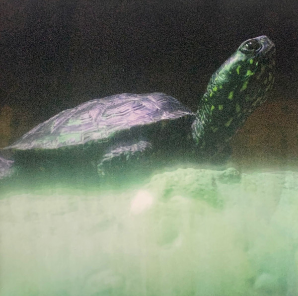 DJ Metatron - Loops Of Infinity (A Rave Loveletter) | All Possible Worlds (APW-3)