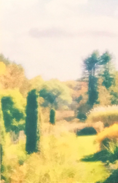 Poemme - Moments In Golden Light | Constellation Tatsu (PURR 0096)