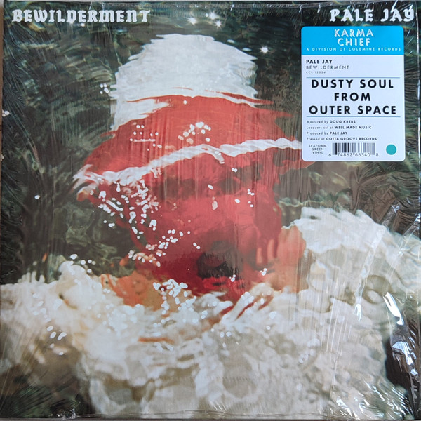 Pale Jay - Bewilderment | Karma Chief Records (KCR-12026)