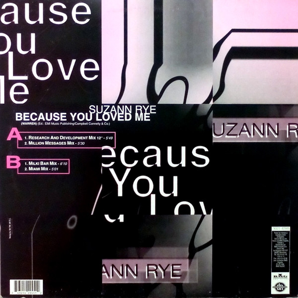 Suzann Rye - Because You Loved Me | Dance Net (74321 429452 1) - 2