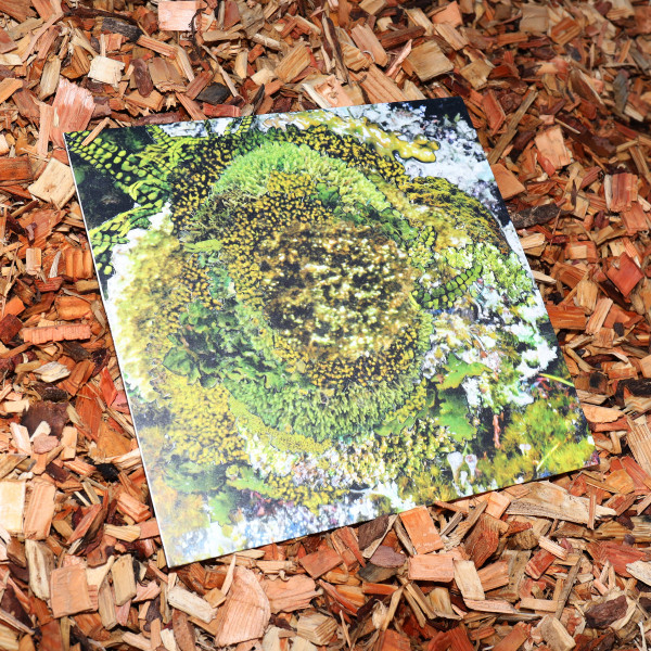 Kinzua - Never Fret, Never Fail | CINTH (CINTH002)