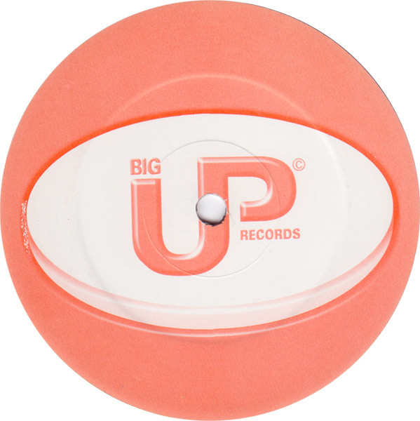DS3 - Stand Up | Big Up Records (BIG-014) - 2 DS3 - Stand Up | Big Up Records (BIG-014) - 2