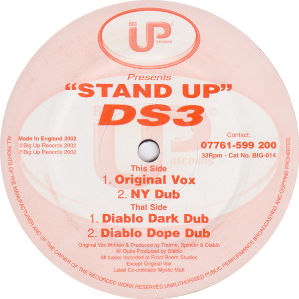 DS3 - Stand Up | Big Up Records (BIG-014)