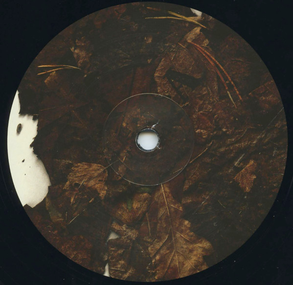 Arv & Miljö - Vålnad Av Fornskog | Discreet Music (11) - 4