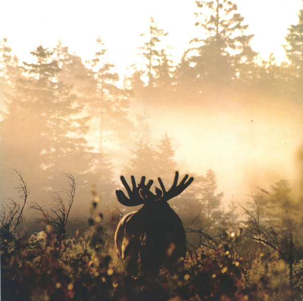 Arv & Miljö - Vålnad Av Fornskog | Discreet Music (11) - main