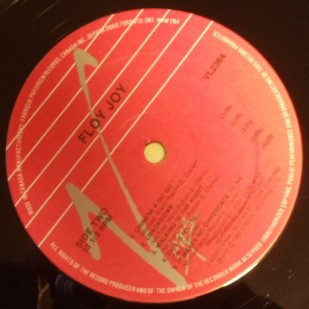 Floy Joy - Weak In The Presence Of Beauty | Virgin (VL2364) - 3