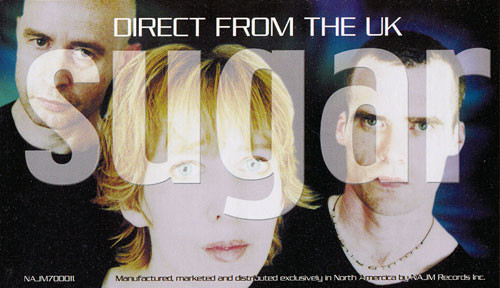 Sugarglider - Bee Sting Smile | NAJM Records (NAJM700011)