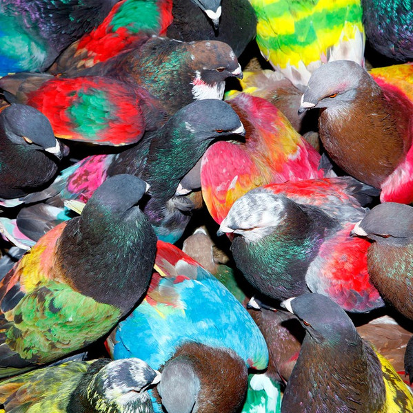 Blawan - SickElixir | XL Recordings (XL1560LP)