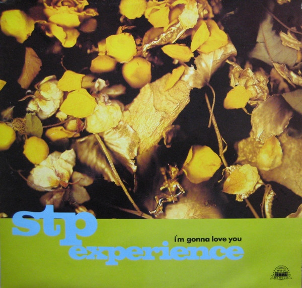 The STP Experience - I'm Gonna Love You | WAU! Mr. Modo Recordings (MWS 033T)