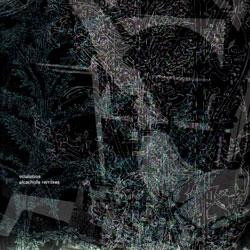 Ricardo Villalobos - Alcachofa Remixes | Playhouse (play 93)