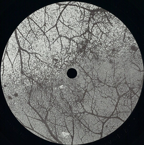 Jackie - What You Gave Me EP | Daphian Productions (DPV001) - 2