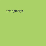 Springintgut - Springintgut | Pingipung (pingipung 03)