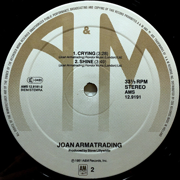 Joan Armatrading - The Weakness In Me | A&M Records (AMS 12.9191) - 4