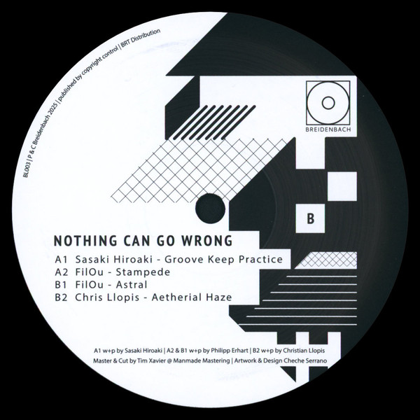 Various - Nothing Can Go Wrong | Breidenbach (BL003) - 2