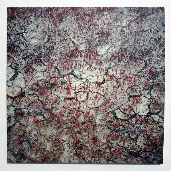 Design Default - Dawn Chorus | Fragil Musique (FRAGIL 023)