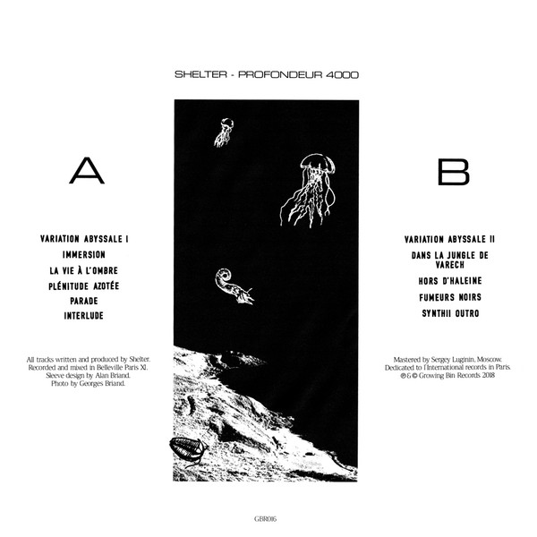 Shelter - Profondeur 4000 | Growing Bin Records (GBR016) - 2 Shelter - Profondeur 4000 | Growing Bin Records (GBR016) - 2
