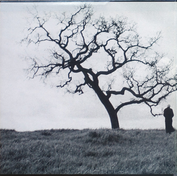 The Smashing Pumpkins - Adore (2LP) [Vinyl] | Caroline Records (7243 8 45879 1 8) - 2