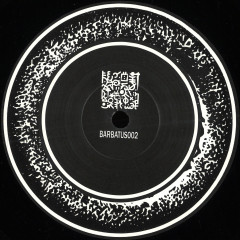 Two Opposites - Void Century | Barbatus D. Wreckords (BARBATUS002)