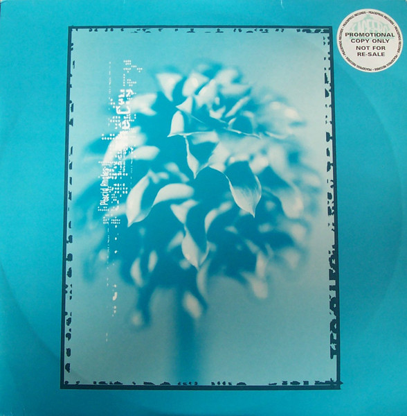 Placid Angles - The Cry | Peacefrog Records (PF069) - main