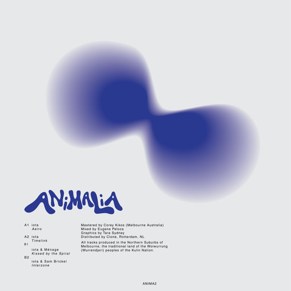 iota - Aeiro | Animalia (ANIMA2)