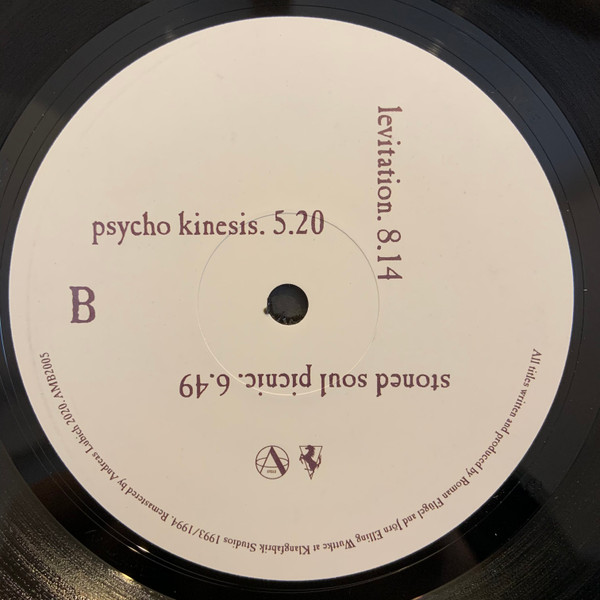 The Primitive Painter - The Primitive Painter | Apollo (AMB2005) - 4