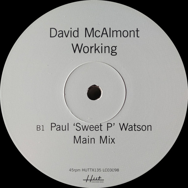 David McAlmont - Working | Hut Recordings (HUTTX135) - 3