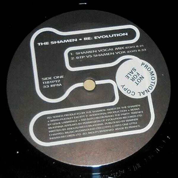 The Shamen With Terence McKenna - Re: Evolution | One Little Indian (118TP 12) - main