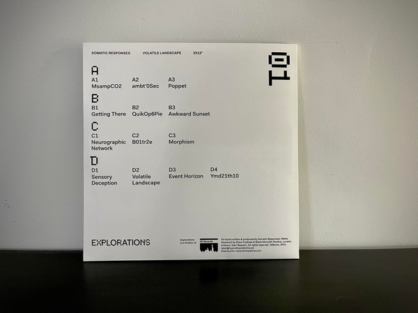 Somatic Responses - Volatile Landscape | Explorations (01) - main Somatic Responses - Volatile Landscape | Explorations (01) - main